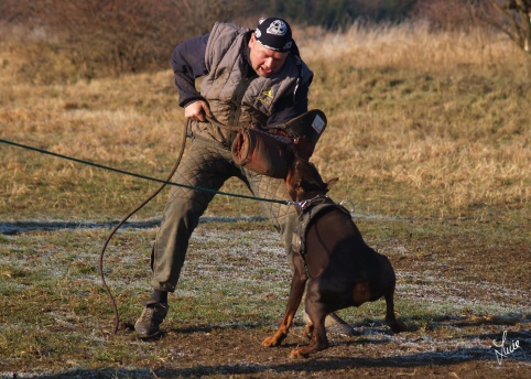 The christmas training 27.12.2006